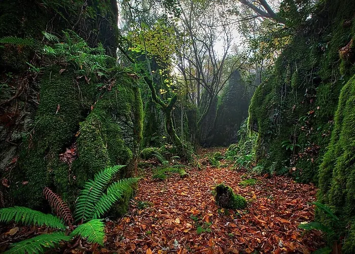 Os Ancares Отель